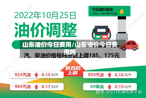 山东油价今日费用/山东油价今日费用吨-第2张图片