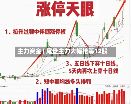 主力资金 | 尾盘主力大幅抢筹12股