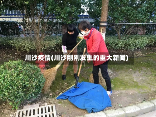 川沙疫情(川沙刚刚发生的重大新闻)-第2张图片
