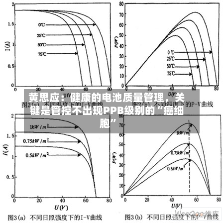 黄思应：健康的电池质量管理，关键是管控不出现PPB级别的“癌细胞”-第3张图片