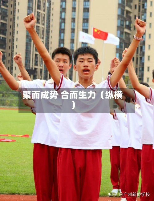 聚而成势 合而生力（纵横）-第2张图片