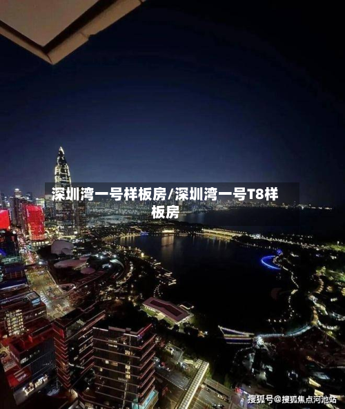 深圳湾一号样板房/深圳湾一号T8样板房