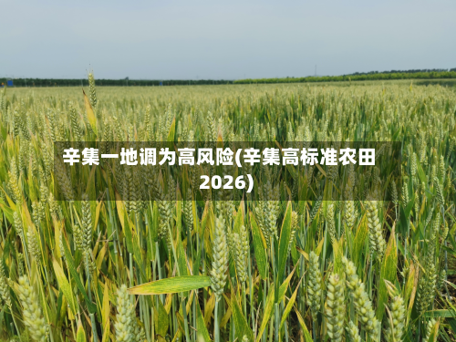 辛集一地调为高风险(辛集高标准农田 2026)