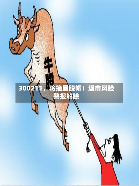300211，将摘星脱帽！退市风险警报解除-第2张图片