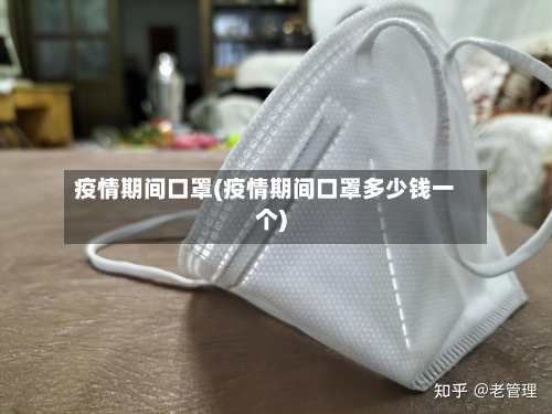 疫情期间口罩(疫情期间口罩多少钱一个)