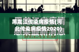 黑龙江传染病疫情(河北传染病疫情2020)-第2张图片
