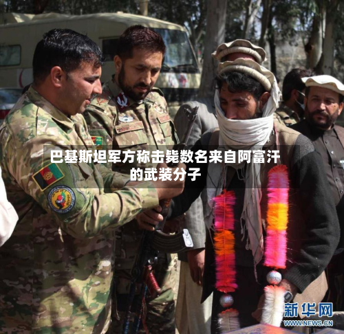巴基斯坦军方称击毙数名来自阿富汗的武装分子