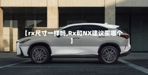 【rx尺寸一样吗,Rx和NX建议买哪个】