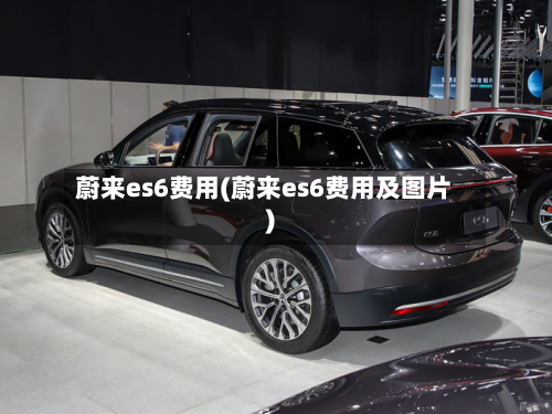 蔚来es6费用(蔚来es6费用及图片)