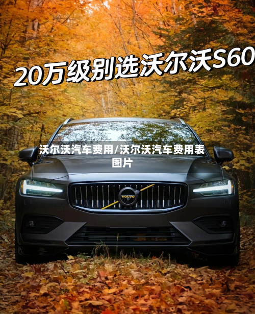 沃尔沃汽车费用/沃尔沃汽车费用表图片