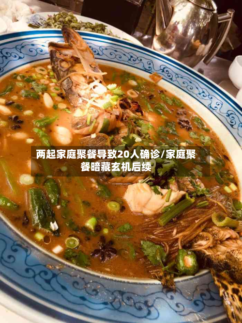 两起家庭聚餐导致20人确诊/家庭聚餐暗藏玄机后续
