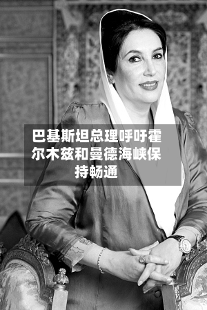 巴基斯坦总理呼吁霍尔木兹和曼德海峡保持畅通