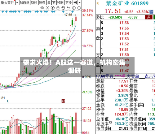 需求火爆！A股这一赛道，机构密集调研-第2张图片