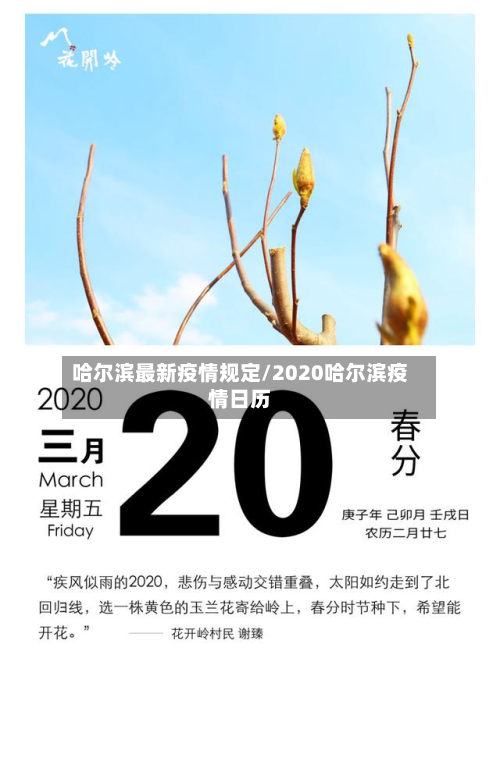 哈尔滨最新疫情规定/2020哈尔滨疫情日历-第2张图片