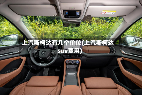 上汽斯柯达有几个价位(上汽斯柯达suv费用)-第3张图片