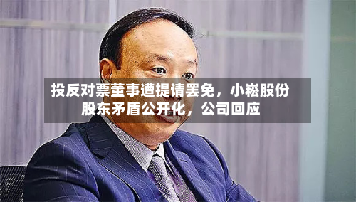 投反对票董事遭提请罢免，小崧股份股东矛盾公开化，公司回应-第2张图片