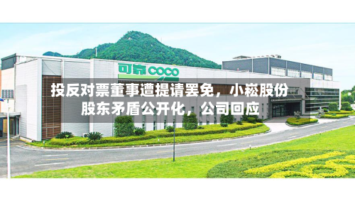 投反对票董事遭提请罢免	，小崧股份股东矛盾公开化，公司回应-第1张图片