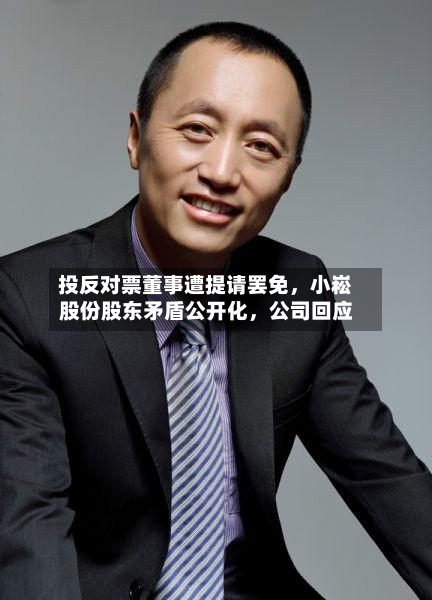 投反对票董事遭提请罢免，小崧股份股东矛盾公开化，公司回应-第3张图片