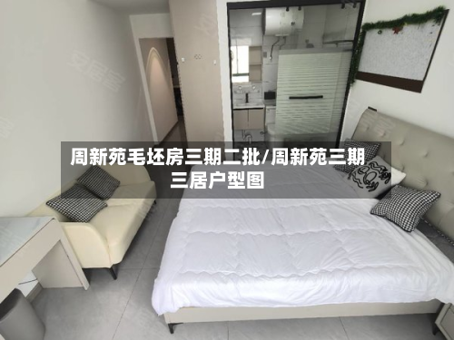 周新苑毛坯房三期二批/周新苑三期三居户型图-第2张图片