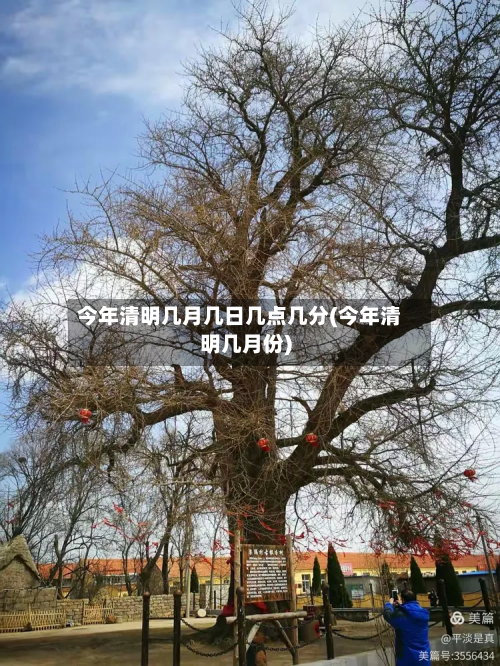 今年清明几月几日几点几分(今年清明几月份)-第3张图片