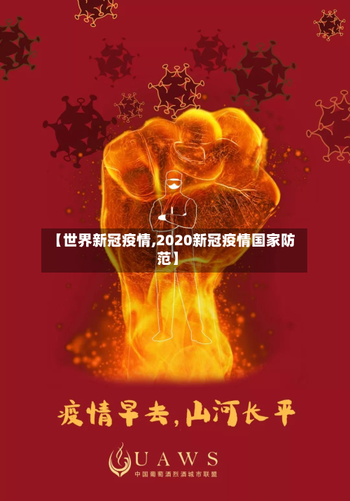 【世界新冠疫情,2020新冠疫情国家防范】-第2张图片