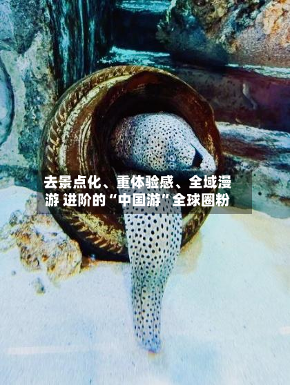 去景点化、重体验感	、全域漫游 进阶的“中国游	”全球圈粉-第2张图片