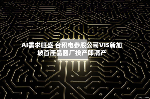 AI需求旺盛 台积电参股公司VIS新加坡首座晶圆厂投产即满产-第3张图片