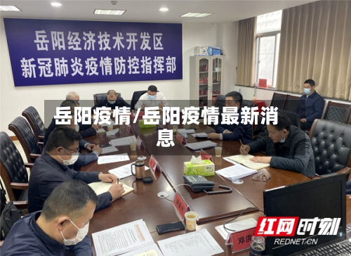 岳阳疫情/岳阳疫情最新消息-第3张图片