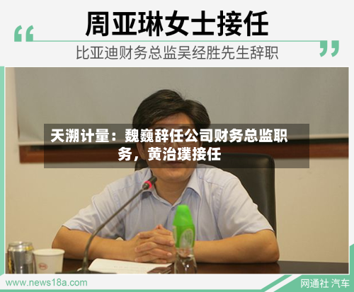 天溯计量：魏巍辞任公司财务总监职务，黄治璞接任-第2张图片