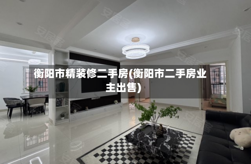 衡阳市精装修二手房(衡阳市二手房业主出售)-第3张图片