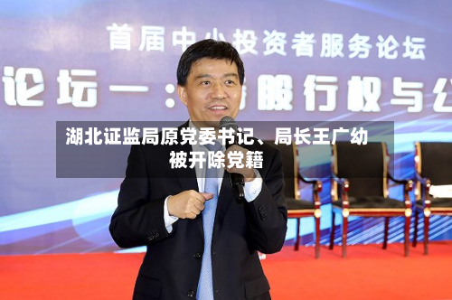 湖北证监局原党委书记、局长王广幼被开除党籍-第2张图片