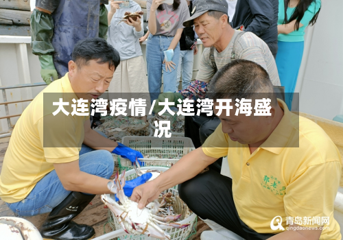 大连湾疫情/大连湾开海盛况-第3张图片