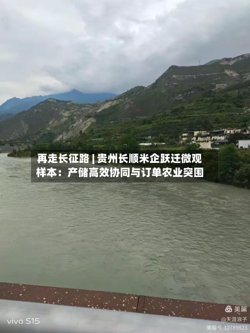 再走长征路 | 贵州长顺米企跃迁微观样本：产储高效协同与订单农业突围