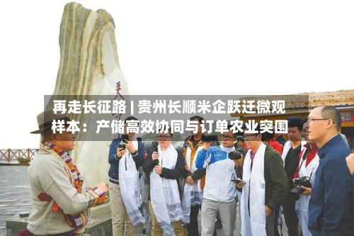 再走长征路 | 贵州长顺米企跃迁微观样本：产储高效协同与订单农业突围-第2张图片