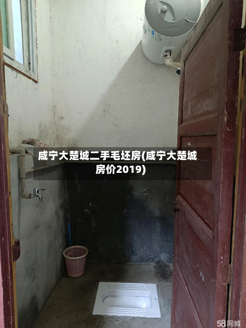 咸宁大楚城二手毛坯房(咸宁大楚城房价2019)