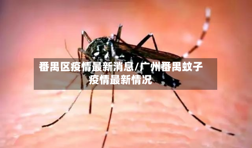 番禺区疫情最新消息/广州番禺蚊子疫情最新情况
