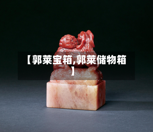【郭莱宝箱,郭莱储物箱】