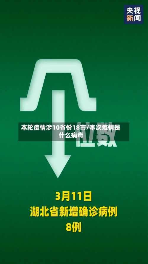 本轮疫情涉10省份18市/本次疫情是什么病毒