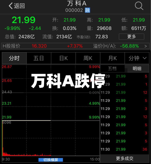 万科A跌停-第2张图片