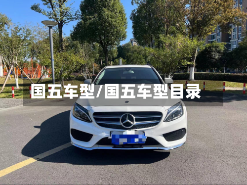 国五车型/国五车型目录