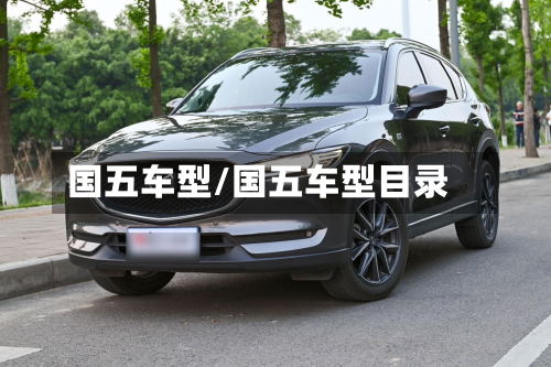 国五车型/国五车型目录-第2张图片