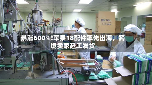 暴涨600%!苹果18配件率先出海	，跨境卖家赶工发货-第3张图片