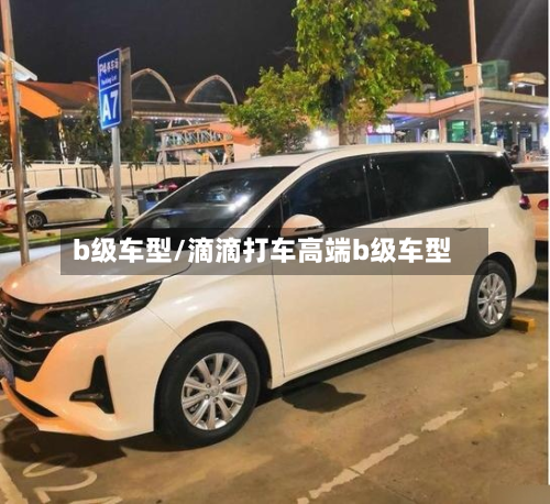 b级车型/滴滴打车高端b级车型