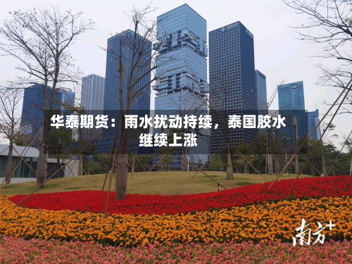 华泰期货：雨水扰动持续	，泰国胶水继续上涨-第1张图片