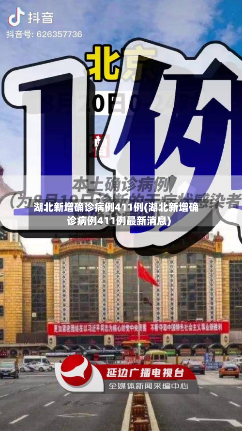 湖北新增确诊病例411例(湖北新增确诊病例411例最新消息)