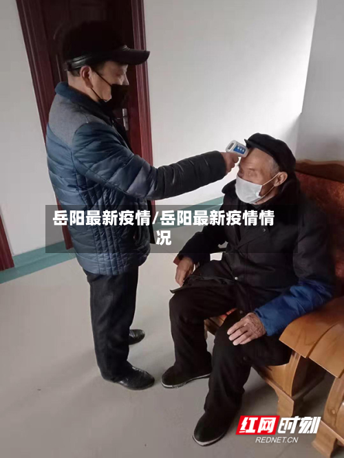 岳阳最新疫情/岳阳最新疫情情况-第2张图片