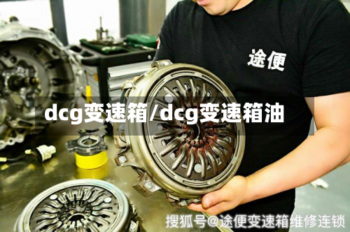 dcg变速箱/dcg变速箱油