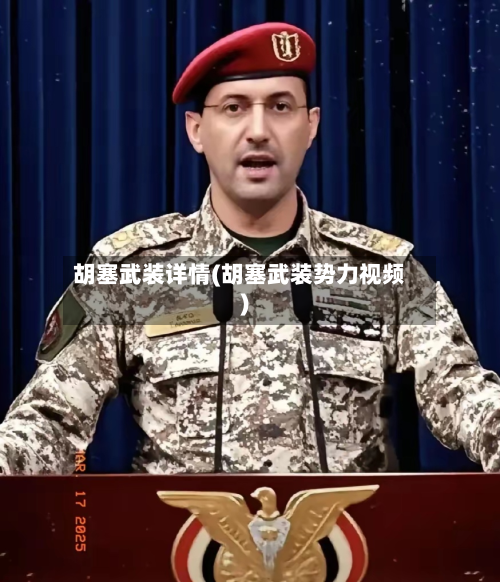 胡塞武装详情(胡塞武装势力视频)