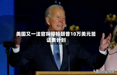 美国又一法官叫停特朗普10万美元签证费计划