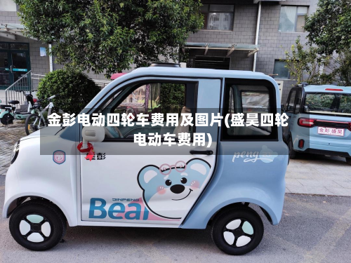 金彭电动四轮车费用及图片(盛昊四轮电动车费用)